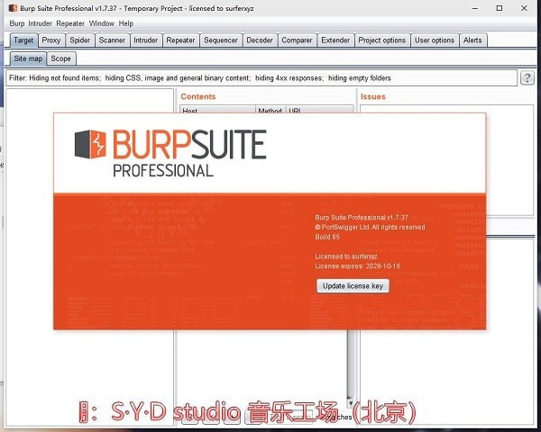 Burpsuite  Pro