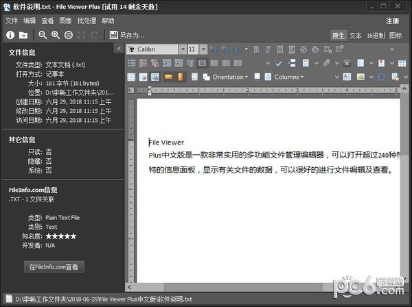 file  viewer  plus中文版