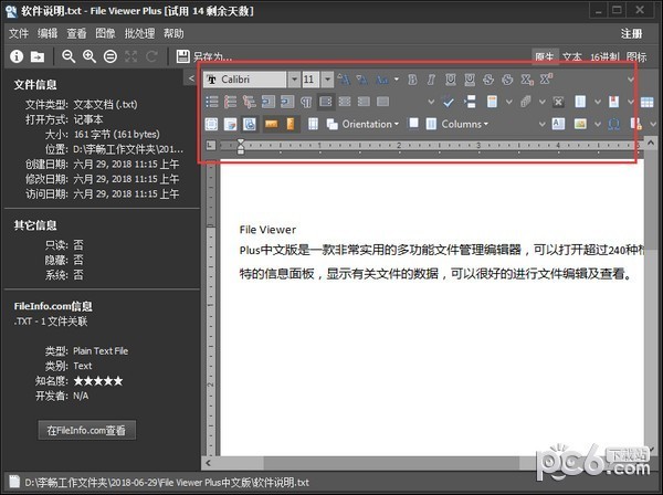 file  viewer  plus中文版