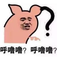 问号表情包？