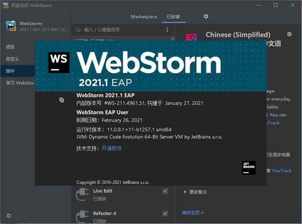 JetBrains  WebStorm  2021(编程软件)