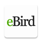 eBird