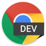 Chrome Dev