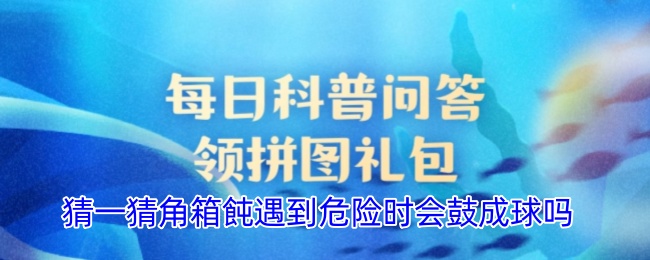 猜一猜角箱飩遇到危险时会鼓成球吗