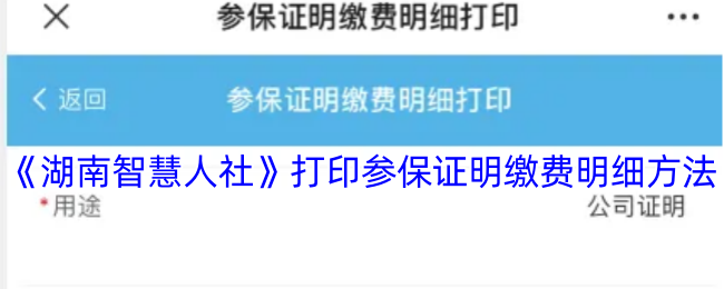 《湖南智慧人社》打印参保证明缴费明细方法