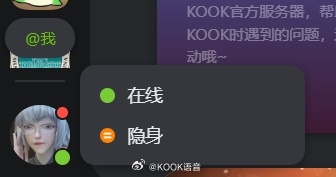 《kook》头像右下角绿色标识意思介绍