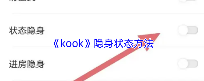 《kook》隐身状态方法