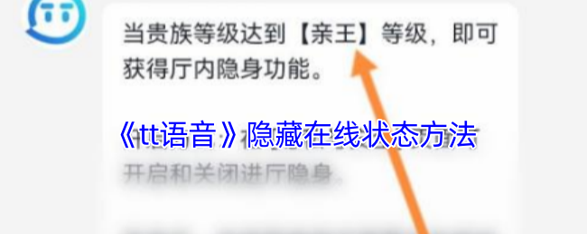 《tt语音》隐藏在线状态方法