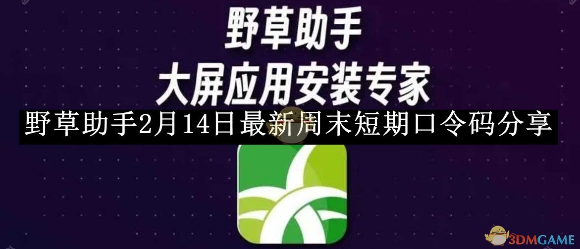 《野草助手》2月14日最新周末短期口令码分享