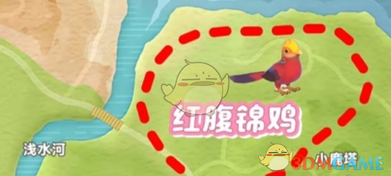 《心动小镇》新春季第3周4只鸟位置