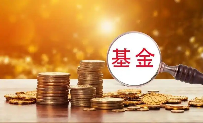  人们常说的“基金中基金”指的是什么